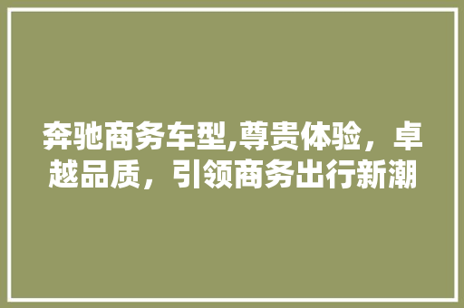 奔驰商务车型,尊贵体验，卓越品质，引领商务出行新潮流
