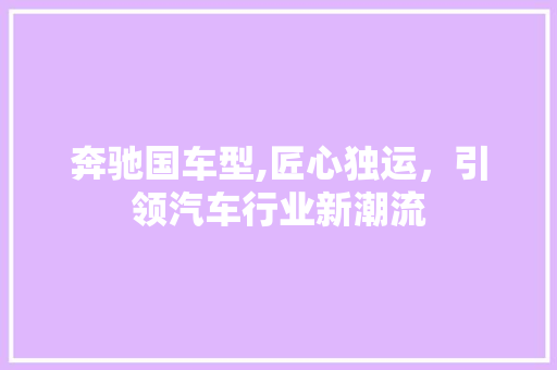 奔驰国车型,匠心独运，引领汽车行业新潮流