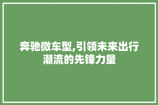 奔驰微车型,引领未来出行潮流的先锋力量