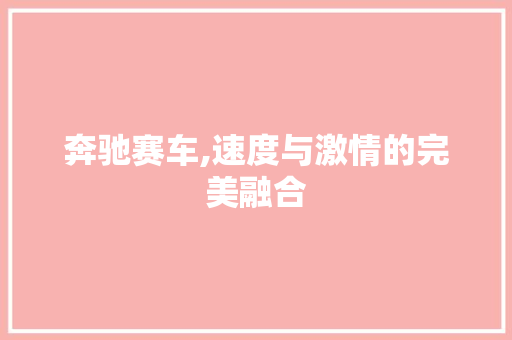 奔驰赛车,速度与激情的完美融合