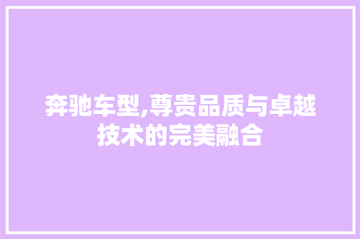 奔驰车型,尊贵品质与卓越技术的完美融合