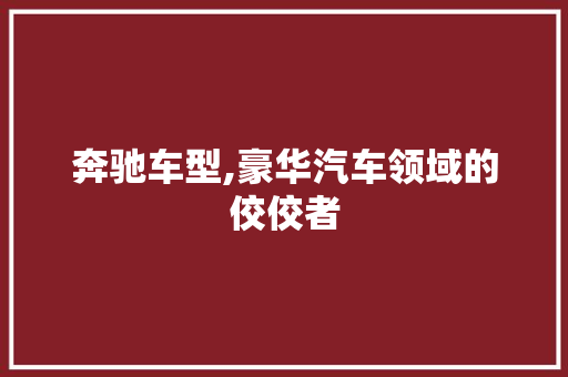 奔驰车型,豪华汽车领域的佼佼者