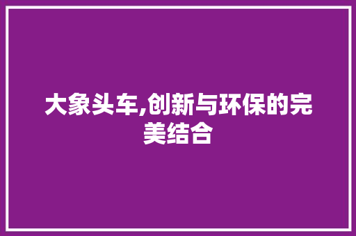 大象头车,创新与环保的完美结合