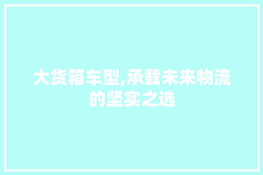 大货箱车型,承载未来物流的坚实之选