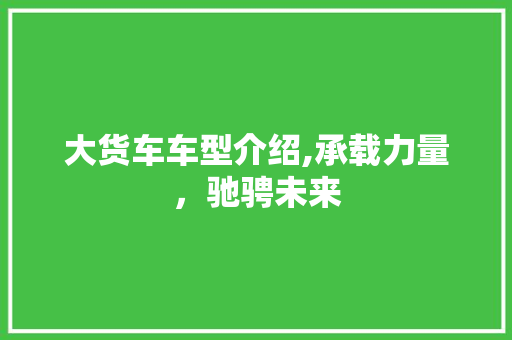 大货车车型介绍,承载力量，驰骋未来