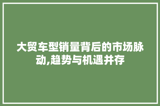 大贸车型销量背后的市场脉动,趋势与机遇并存