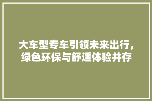 大车型专车引领未来出行，绿色环保与舒适体验并存