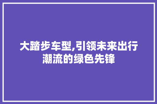 大踏步车型,引领未来出行潮流的绿色先锋