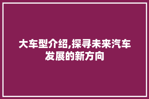 大车型介绍,探寻未来汽车发展的新方向