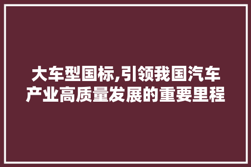 大车型国标,引领我国汽车产业高质量发展的重要里程碑