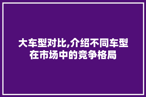 大车型对比,介绍不同车型在市场中的竞争格局