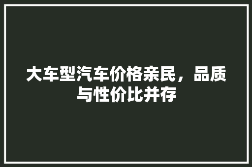 大车型汽车价格亲民，品质与性价比并存
