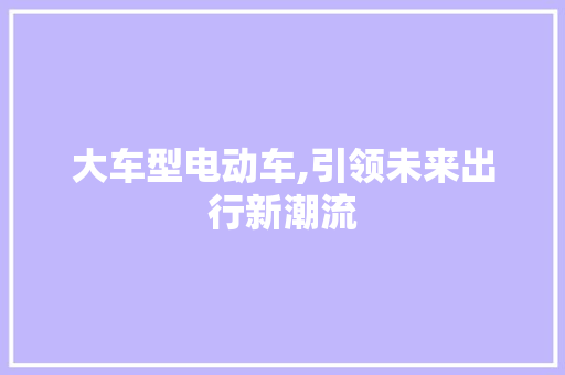 大车型电动车,引领未来出行新潮流