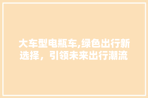 大车型电瓶车,绿色出行新选择，引领未来出行潮流