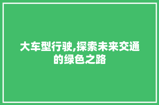 大车型行驶,探索未来交通的绿色之路