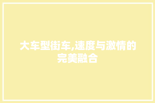 大车型街车,速度与激情的完美融合