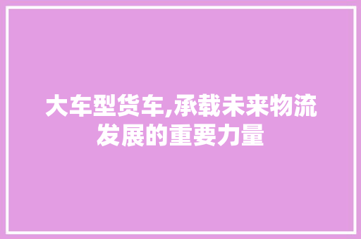 大车型货车,承载未来物流发展的重要力量