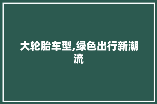 大轮胎车型,绿色出行新潮流