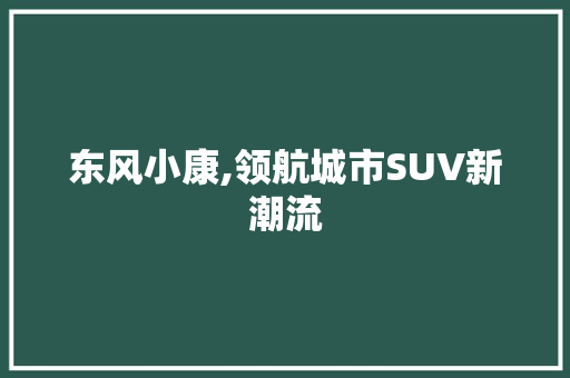 东风小康,领航城市SUV新潮流