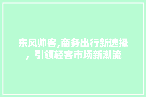 东风帅客,商务出行新选择，引领轻客市场新潮流