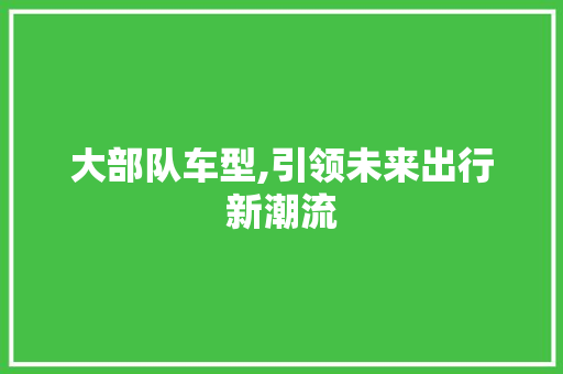 大部队车型,引领未来出行新潮流