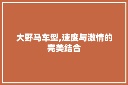 大野马车型,速度与激情的完美结合