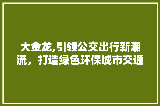 大金龙,引领公交出行新潮流，打造绿色环保城市交通
