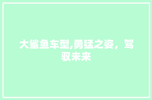 大鲨鱼车型,勇猛之姿，驾驭未来
