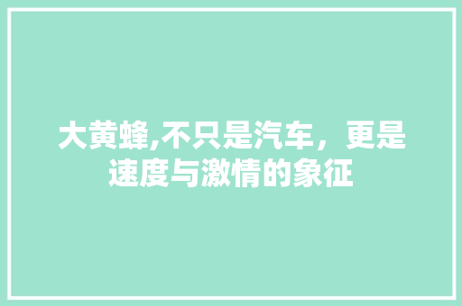 大黄蜂,不只是汽车，更是速度与激情的象征