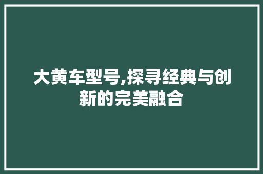 大黄车型号,探寻经典与创新的完美融合