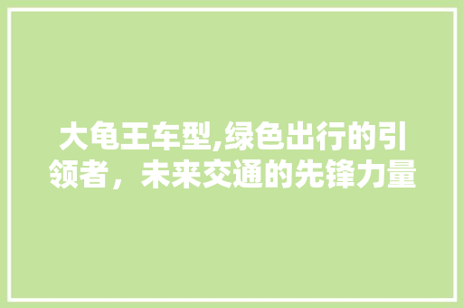 大龟王车型,绿色出行的引领者，未来交通的先锋力量