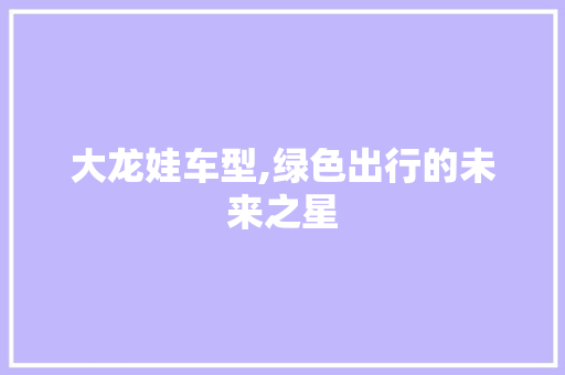 大龙娃车型,绿色出行的未来之星