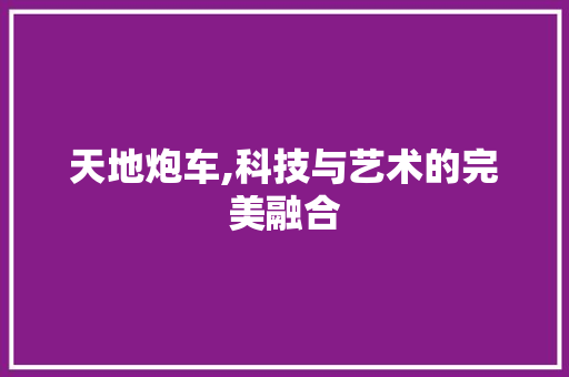 天地炮车,科技与艺术的完美融合