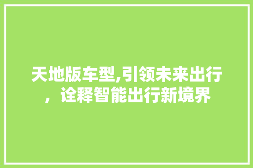 天地版车型,引领未来出行，诠释智能出行新境界