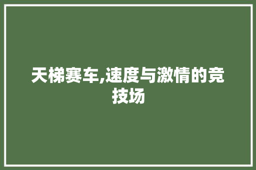 天梯赛车,速度与激情的竞技场