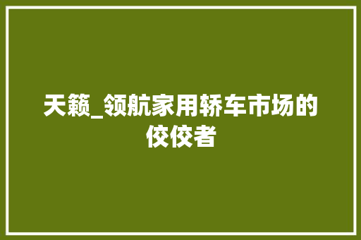 天籁_领航家用轿车市场的佼佼者
