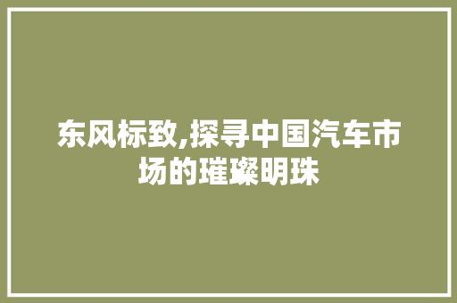 东风标致,探寻中国汽车市场的璀璨明珠