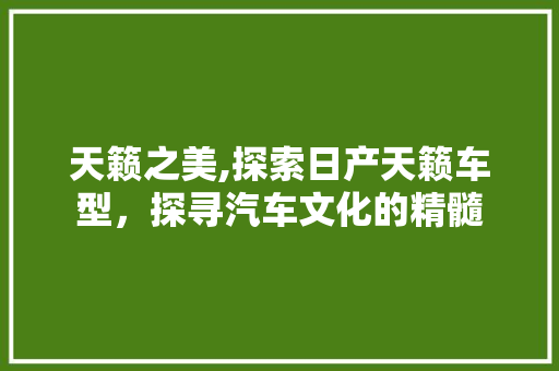 天籁之美,探索日产天籁车型，探寻汽车文化的精髓 发动机配件