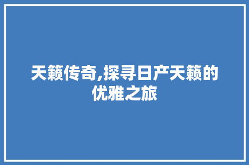 天籁传奇,探寻日产天籁的优雅之旅 车身配件