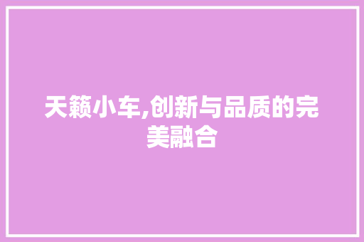天籁小车,创新与品质的完美融合