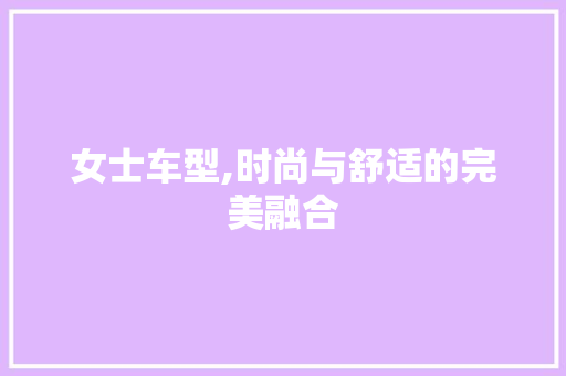 女士车型,时尚与舒适的完美融合