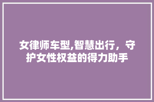 女律师车型,智慧出行，守护女性权益的得力助手