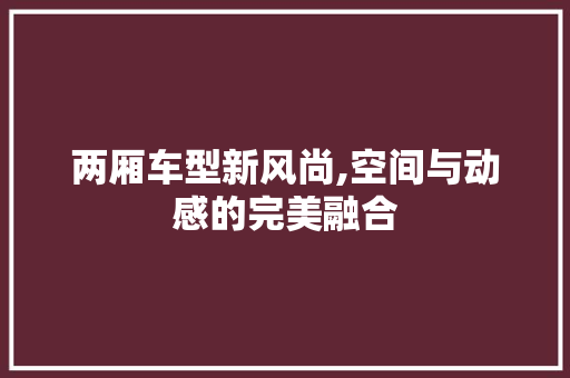 两厢车型新风尚,空间与动感的完美融合