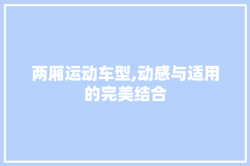 两厢运动车型,动感与适用的完美结合