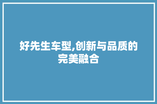好先生车型,创新与品质的完美融合