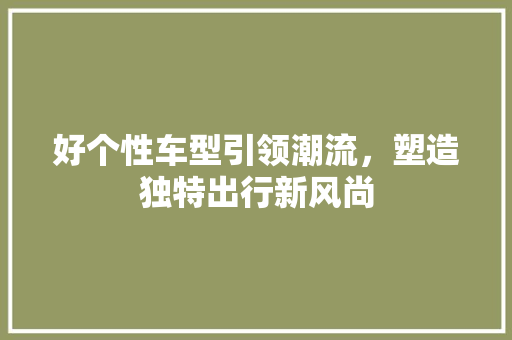 好个性车型引领潮流，塑造独特出行新风尚