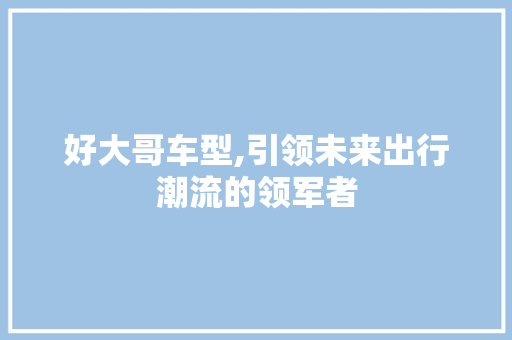 好大哥车型,引领未来出行潮流的领军者