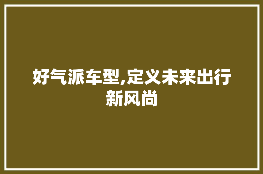 好气派车型,定义未来出行新风尚