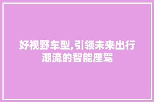 好视野车型,引领未来出行潮流的智能座驾