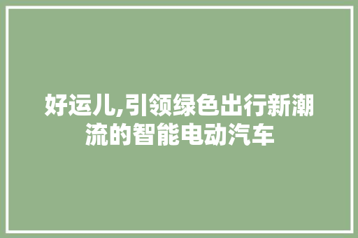好运儿,引领绿色出行新潮流的智能电动汽车